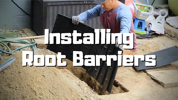 Protecting House Foundations and Sidewalks with Root Barriers