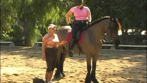 Hilda Gurney tutorial on Flying Changes