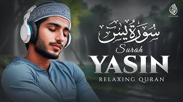 Surah Yasin Yaseen (سورة يس) | Relaxing Healing Heart Touching Quran | Wonderful Quran
