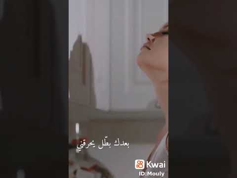 كرهتك انا صدقنى وائل جسار