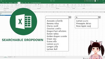 Searchable Dropdown List - Excel