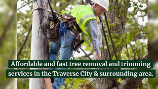 AAA Tree Service