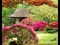 Экзотические сады Японии