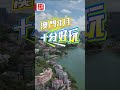 【澳日快趣】八月盛事  值回票價！
