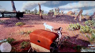 Red Dead Redemption 2 How To Hunt The Legendary Pronghorn In New Austin As Arthur