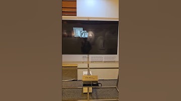CNN(Convolutional Neural Network) Visualization