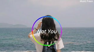 Alan Walker - Not You (Music Freex)