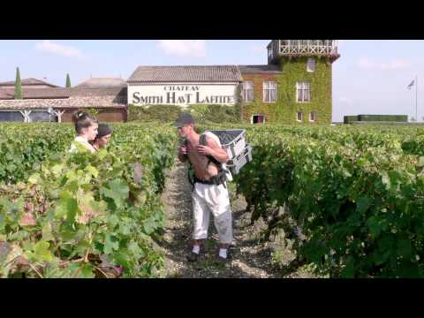 Château Smith Haut Lafitte - Insight into Bordeaux Wine Excellence