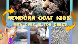 Diy Crochet Lamb And Kid Sweater Pattern, We Love These Sweaters