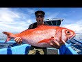 IS THIS THE WORLDS BIGGEST GOLDFISH? FISHING FOR GOLDFISH. EP 54