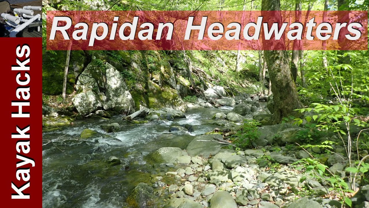 Rapidan River Trout Fishing - The Headwaters 