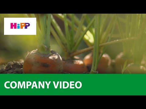 HiPP BIO organski uzgoj šargarepa