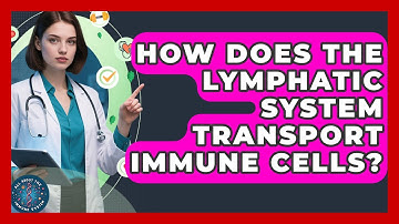 How Does The Lymphatic System Transport Immune Cells? - All About the Immune System