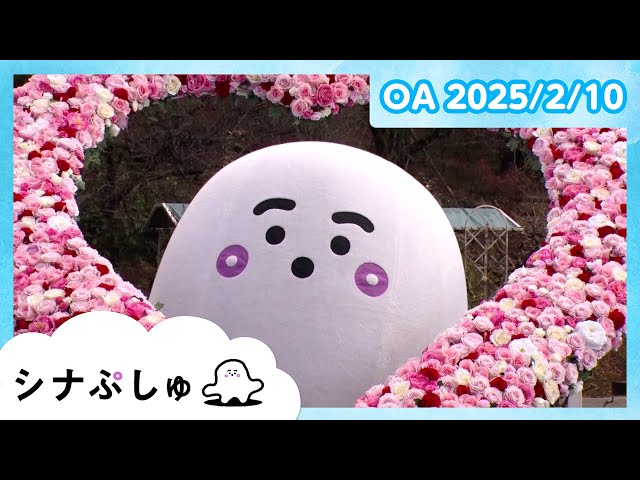 ぷしゅ❇️ sddefault.jpg
