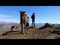 "Cabras, perros y trashumantes" subtitulado