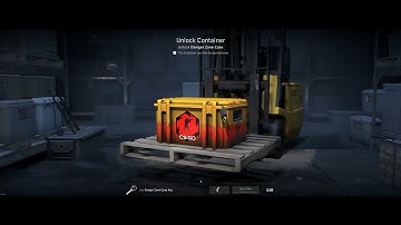 Opening A Danger Zone Case everyday, until i get a knife #313