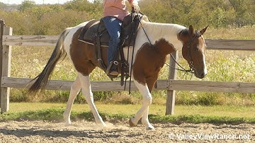 Boondoc Rich***For info, price, etc., go to our website: ValleyViewRanch.net***