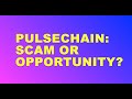 Pulsechain Potential