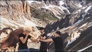 Новый Забавный Бой Хабиба и Конора 2019 ALISHKA AZIZA ELVIN MURAD (UFC Fight Comedy)