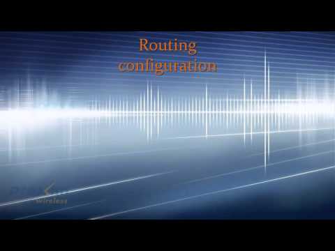 Tsunami® QB/MP basic routing configuration