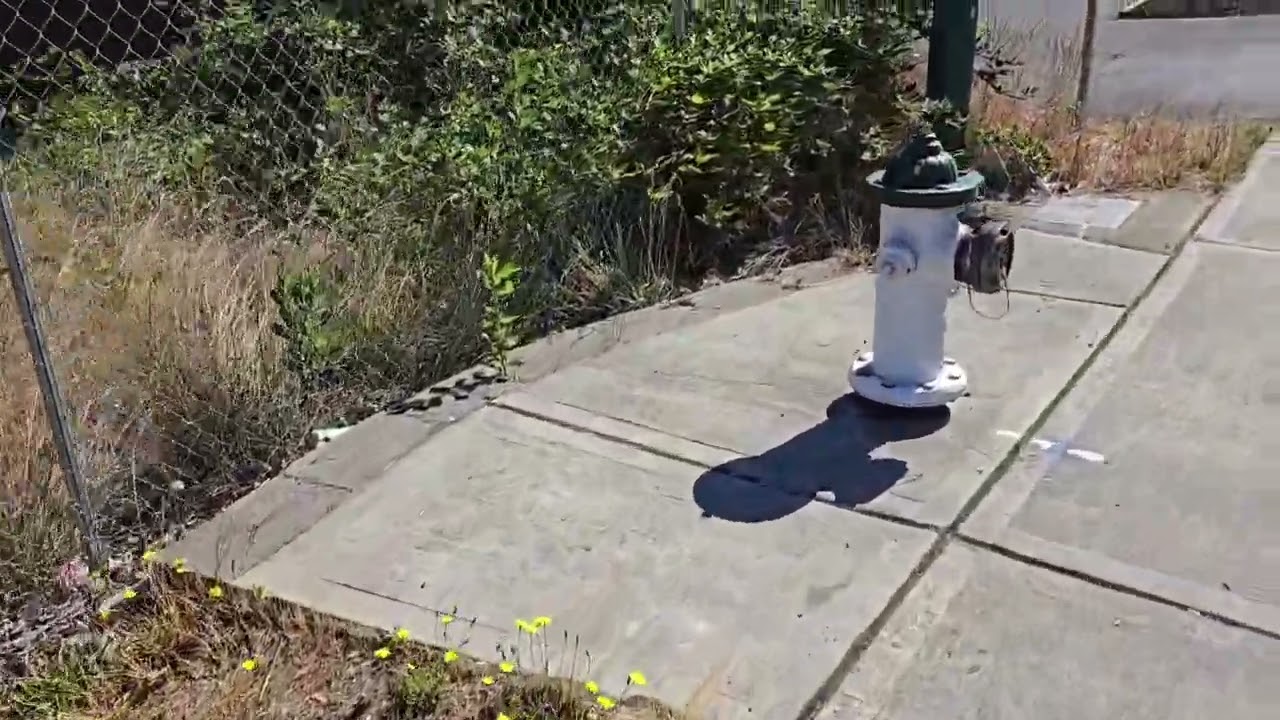 Остался без загрузки на праздники.