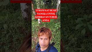 11 MANFAAT BUAH NANGKA UNTUK KESEHATAN ANDA #obatherbal #tips #kesehatan #cara #tutorial #aplikasi