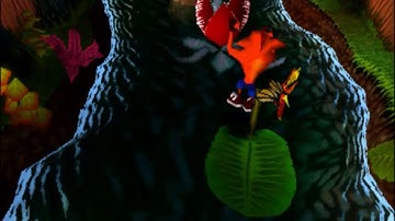 Crash Bandicoot 100% - Up the Creek (Clear gem)