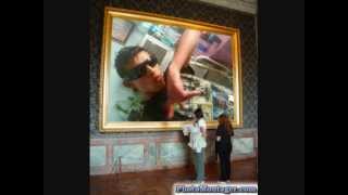 perro callejero-lloraras