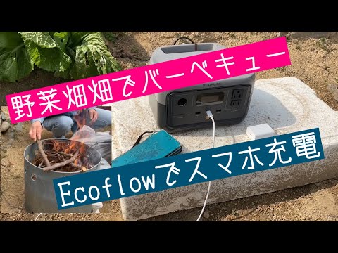 野菜畑でバーベキュー👍😃キャンプに向け準備してます#ecoflow#畑でバーベキュー#栗山で作業