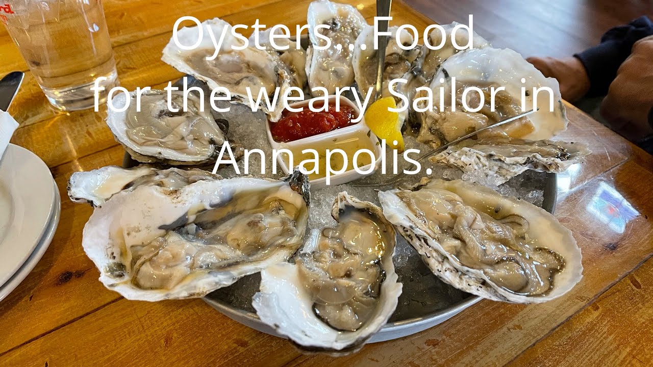 Oysters! Food for a weary Sailor in Annapolis. Sailing SV Bohemian Ep.8