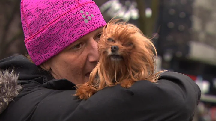 Homeless woman says she was asked to choose between her dog and shelter - DayDayNews