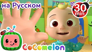 Семья пальчиков | @CoComelonRussian  | Cocomelon