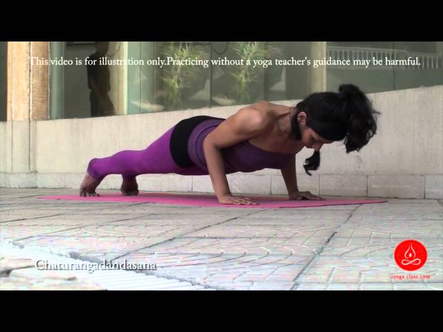 Chaturanga Dandasana or Four-Limbed - YogaFit_ArchanaShah