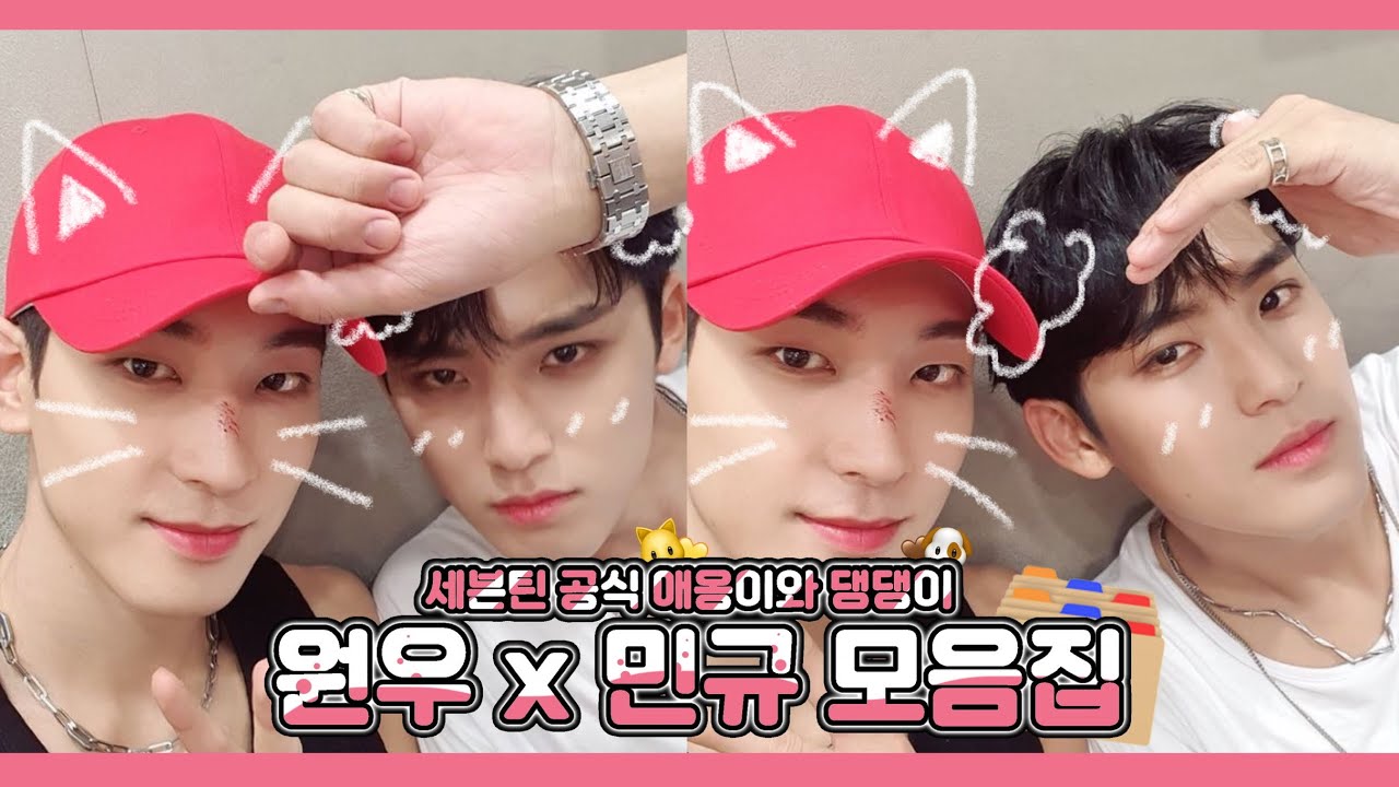 [세븐틴/원우/민규] 세븐틴 공식 애옹이와 댕댕이 🐱🐶 원우 x 민규 모음집 🗂