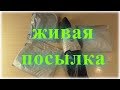 ПОСЫЛКИ ИЗ ALIEXPRESS. ИЛИ КАК ПРОСТО И ДЁШЕВО ЗАЩИТИТЬ СВОЙ ДОМ ОТ БАНДИТОВ.