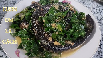 Ngất ngây với món lươn um lá cách nước cốt dừa – Đặc sản miền Tây