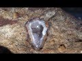 Finding smokey quartz and agates without a shovel