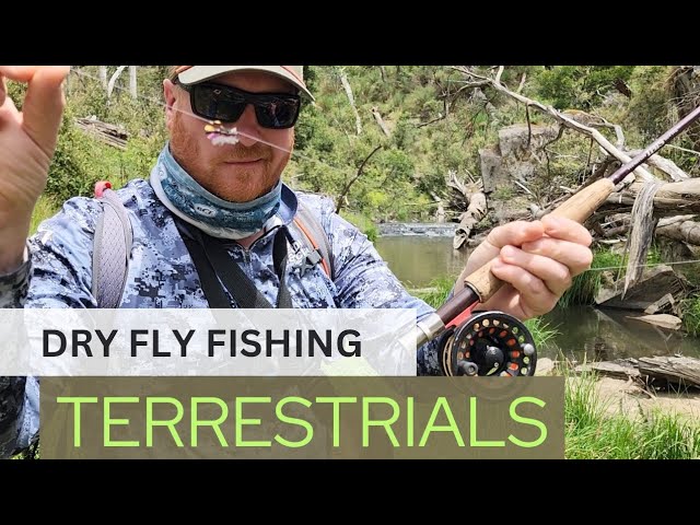 TERRESTRIAL Fishing + Dry Droppers. (Beetles, Ants, Termites Stimulators  Caddis, PT Nymphs) 