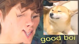 Reacting to Dog Memes