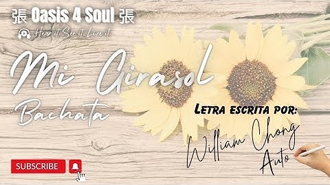 Mi Girasol | Bachata | Letra escrita por William Chong | Video Oficial
