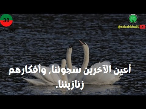 فرجينيا وولف أيقونة الأدب النسوي التي تجاهلتها نوبل