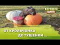 от крольчонка до тушенки