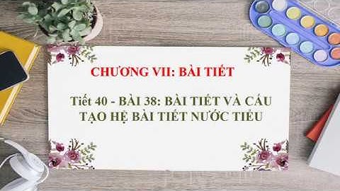 Bài 38: Bài tiết và cấu tạo hệ bài tiết nước tiểu