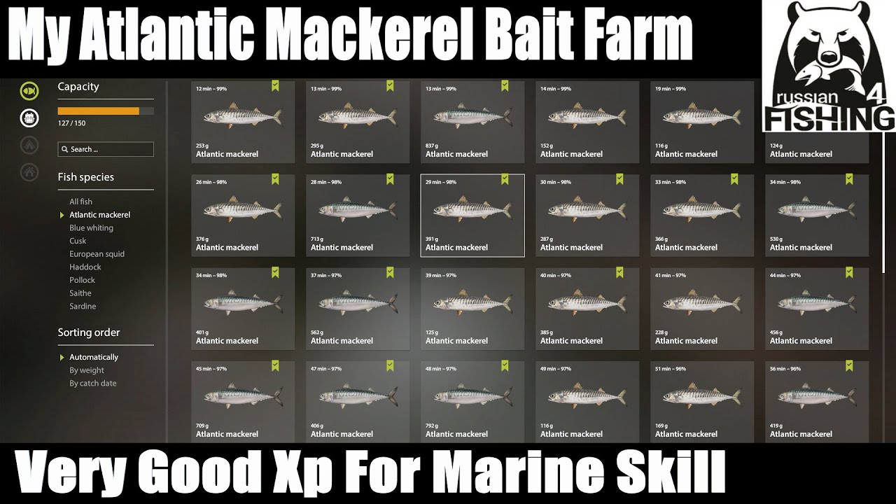 Russian FIshing 4, My Atlantic Mackerel Bait Farm, Very Good Xp For
