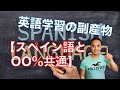 学生時代に勉強した英語が活きる？【スペイン語と英語の単語はOO%共通していた件】