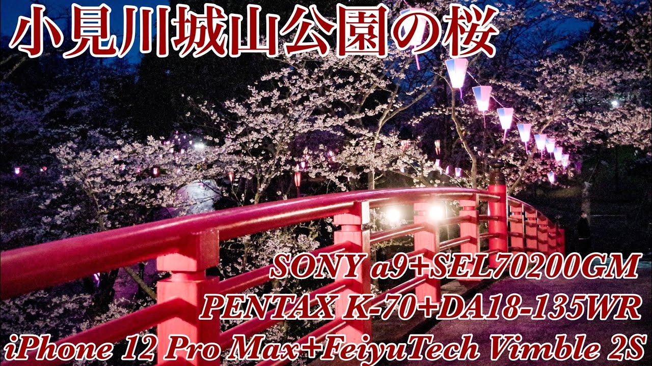 小見川城山公園 086 Cherry Blossoms Of Omigawa Joyama Park Sony Sel700gm Pentax K 70 Da18 135wr Youtube