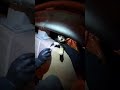 Police rescues dog from highway #hearttouching #viral