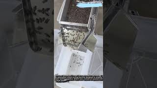 How Smart Farms Sort Thousands of Crickets Automatically #InsectFarming #machinery #automation