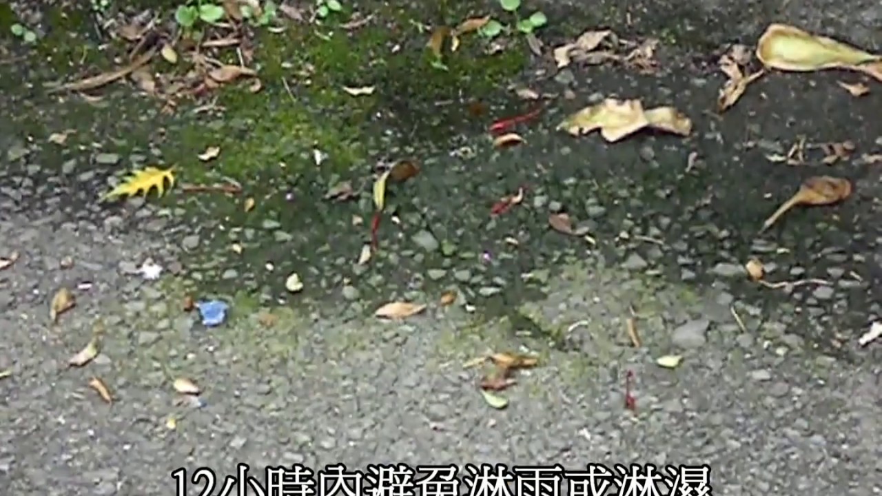 富崙 如何清除青苔 消除黴菌 去除藻類 掃除苔蘚 消滅小黑蚊 過敏源 天然環保清潔劑 清洗地板牆壁衛浴室廁所水槽環境清潔用品 大掃除 Youtube 富崙 如何清除青苔 消除黴菌 去除藻類 掃除苔蘚 消滅小黑蚊 過敏源 天然環保清潔劑 清洗地板牆壁衛浴室廁所水槽環境清潔用品 大掃除 Youtube