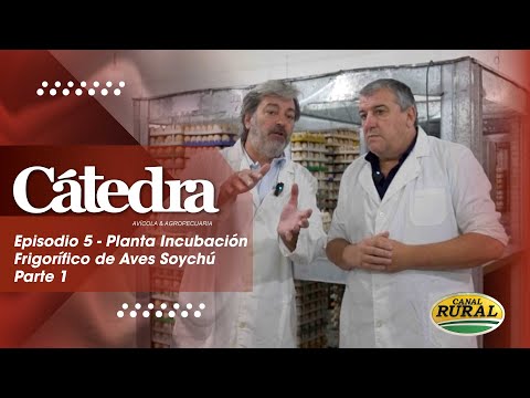 Cátedra Avícola - Episodio 5 - Visitamos la planta de incubación de Soychú - Parte 1